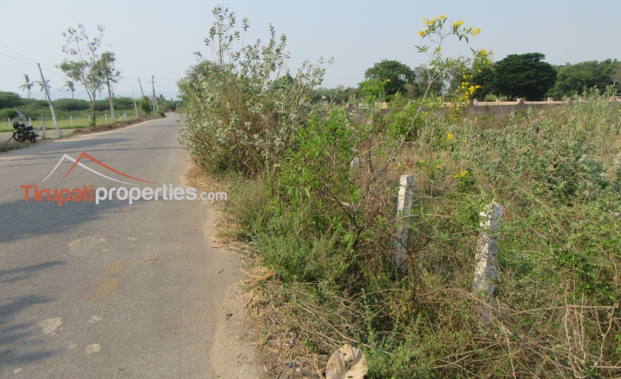 158 Anks West Facing #CommercialLand for Sale Near Nennoor, #Tirupati